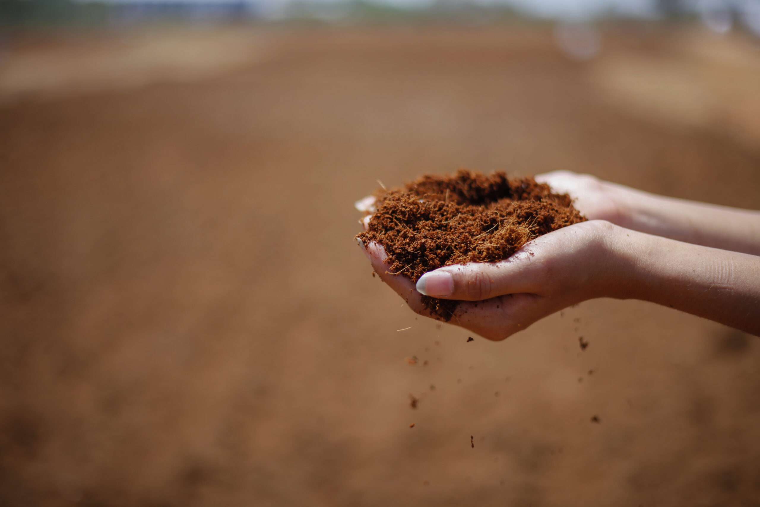 Coco Coir & Coconut Husk Chippings Bulk Supplier USA | Gro-Med